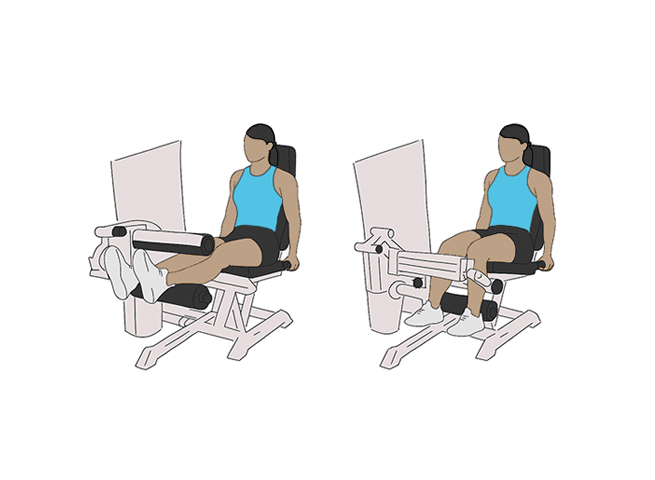 Seated leg curl