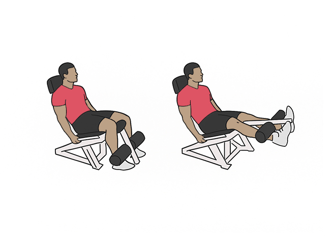 Seated leg extensions