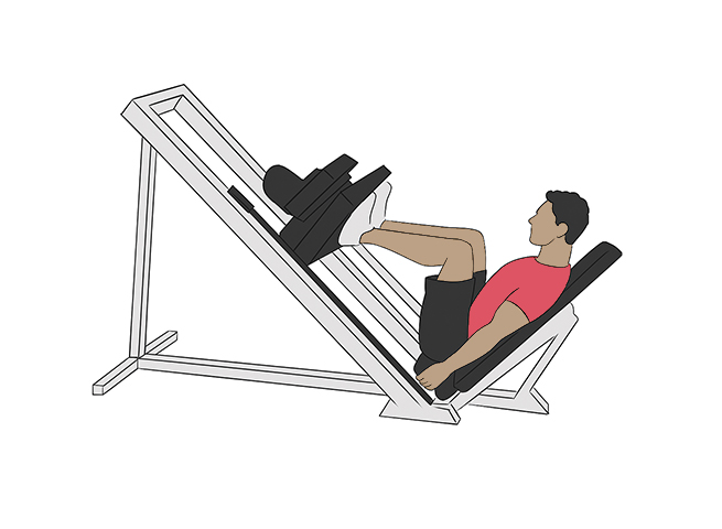 Leg press / Squat press