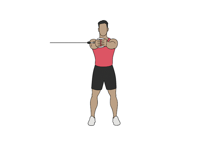Palloff press iso hold