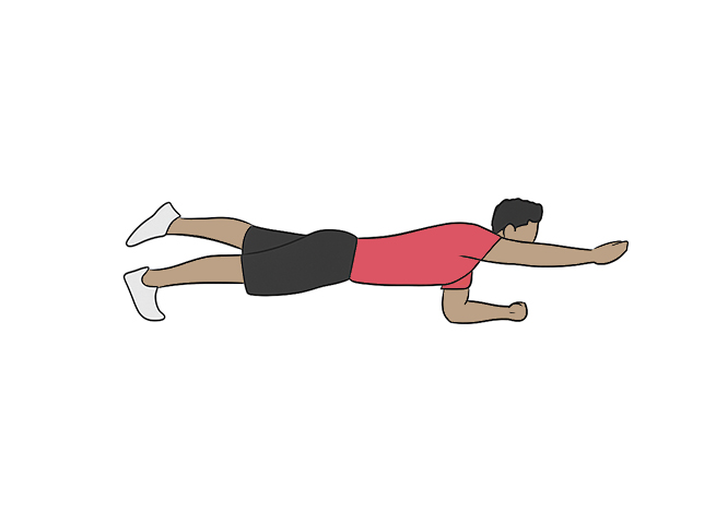 Plank arm and leg raised