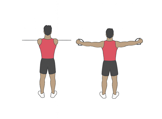Rear delt cable flyes