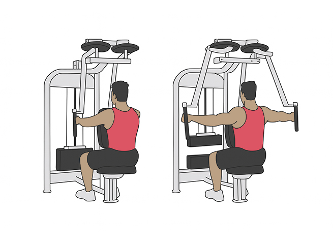 Rear delt machine flyes