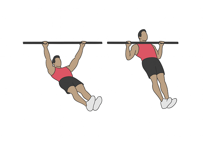 Inverted rows / Reverse pull-ups