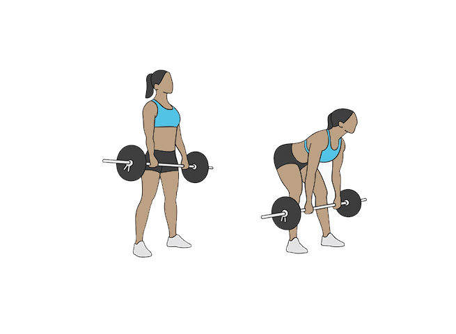Barbell romanian deadlifts