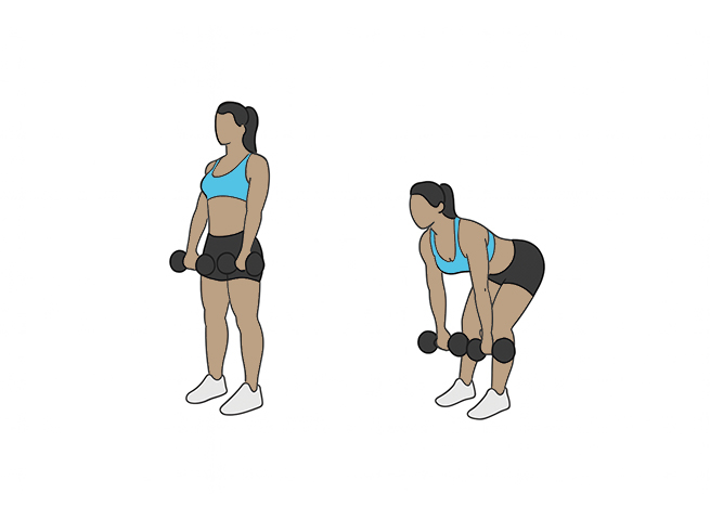 Dumbbell romanian deadlifts