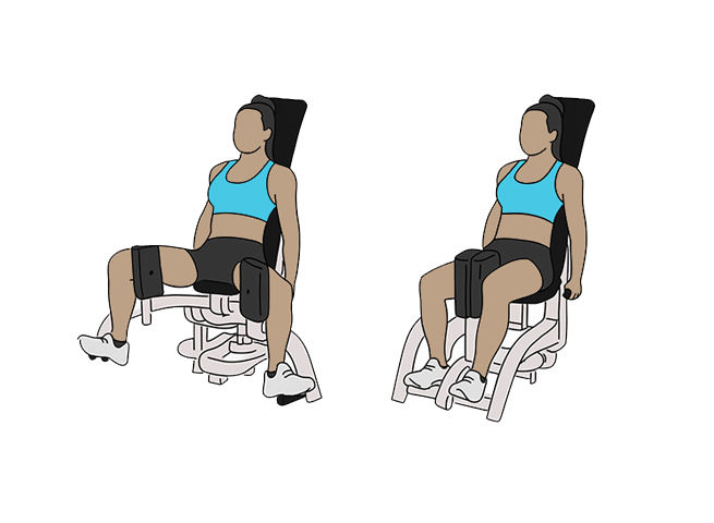 Seated adductor machine