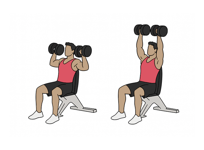Seated dumbbell overhead shoulder press
