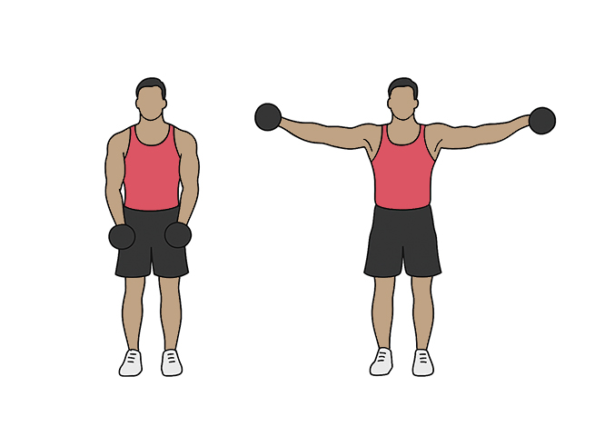 Dumbbell lateral raises