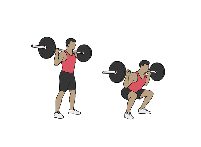 Barbell squats