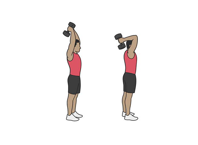 Standing overhead dumbbell triceps extensions
