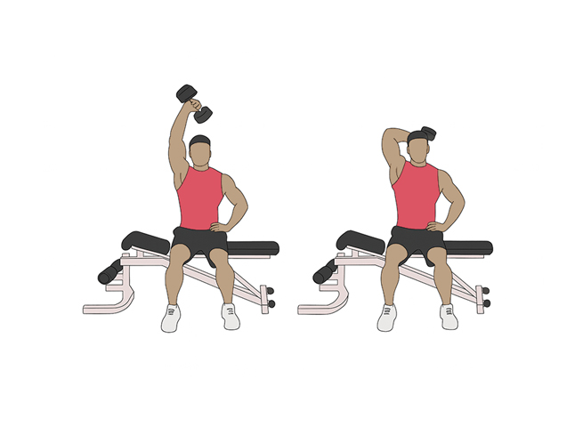 Seated overhead dumbbell triceps extensions