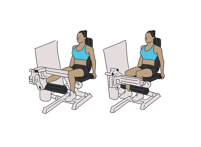 Seated single leg curl