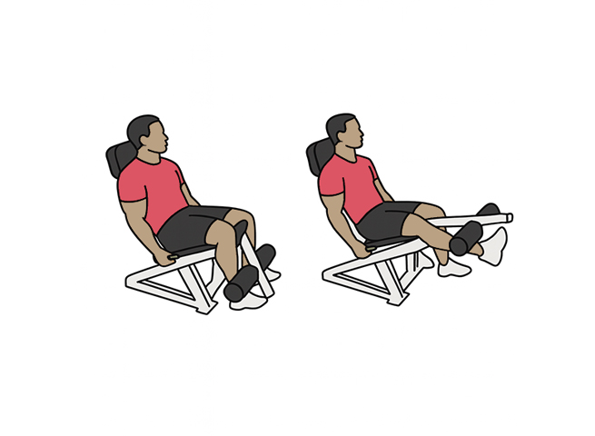 Seated single leg extensions